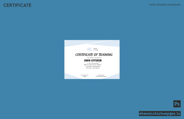 USA Safety Training Zertifikatsbeispiel (Vorschau)